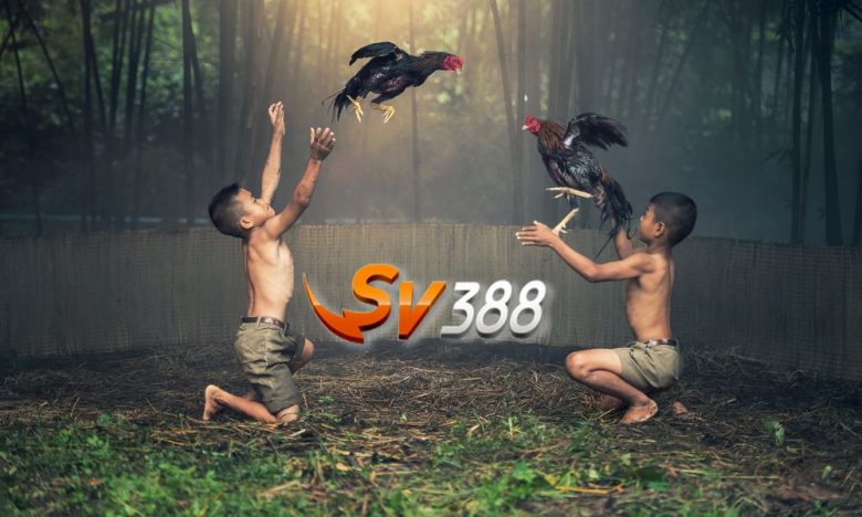 SV388tructiep.com - Link vào cá cược đá gà trực tuyến