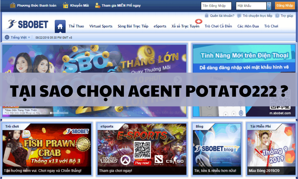 Giới thiệu về trang cá cược Agent.potato222.com